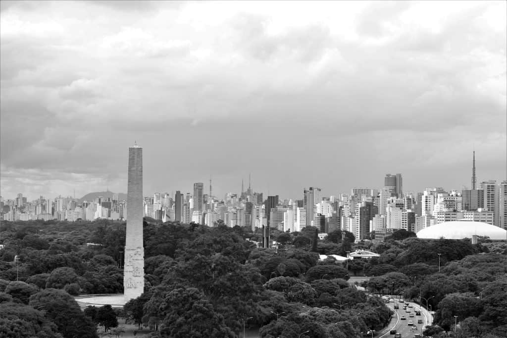 Ibirapuera park skyline view