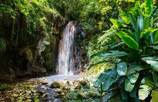 st lucia travel tips Diamond falls