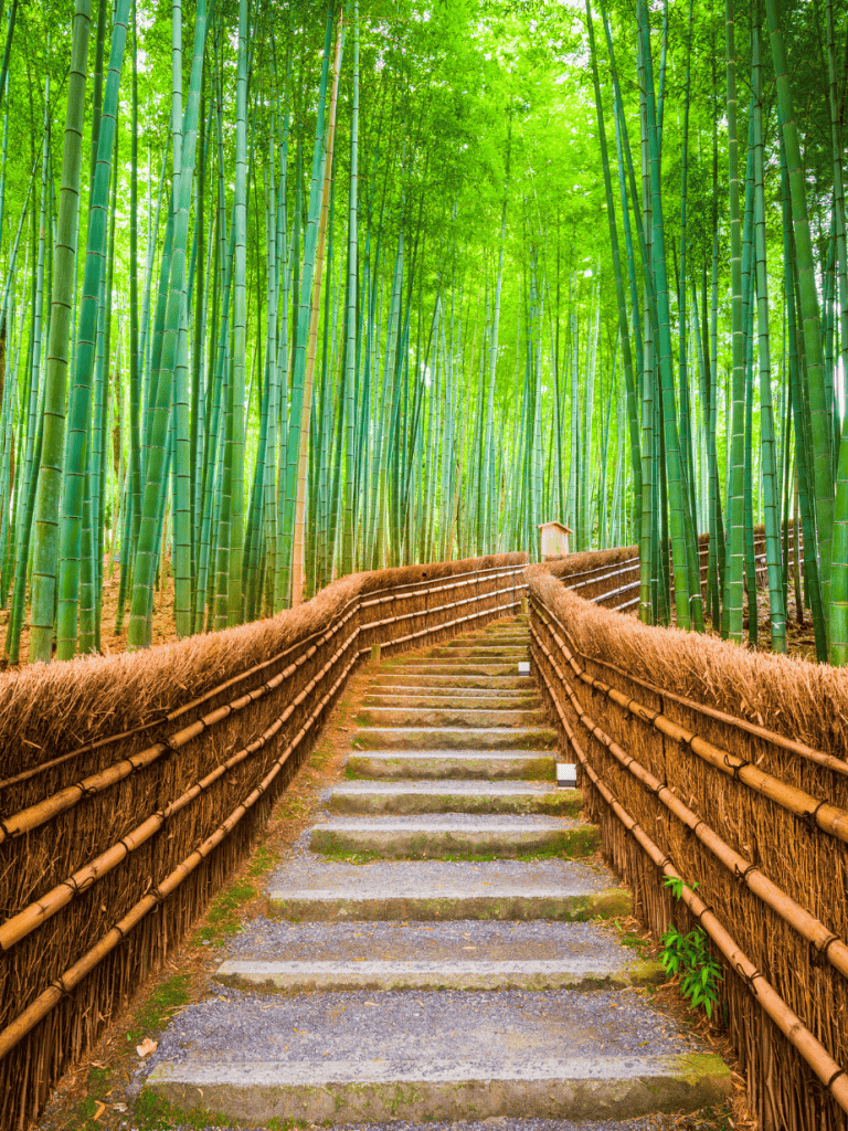 10 Reasons Why Japan Should Be Your Next Travel Destination