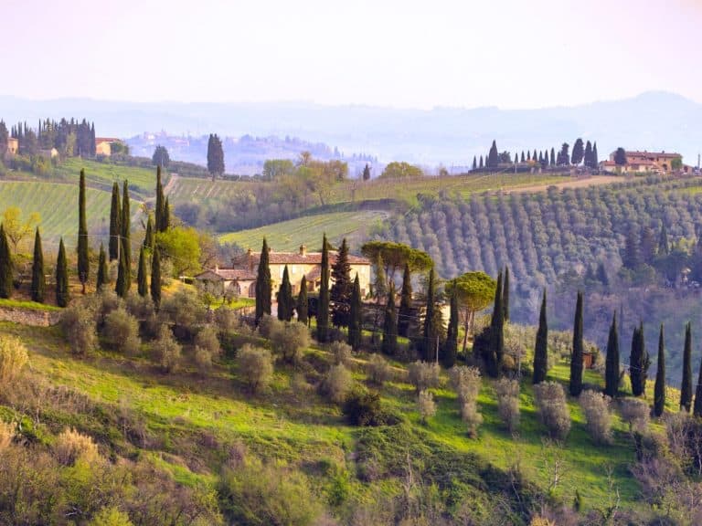 A Wine Lover’s Guide to Tuscany: Top Wineries and Tours